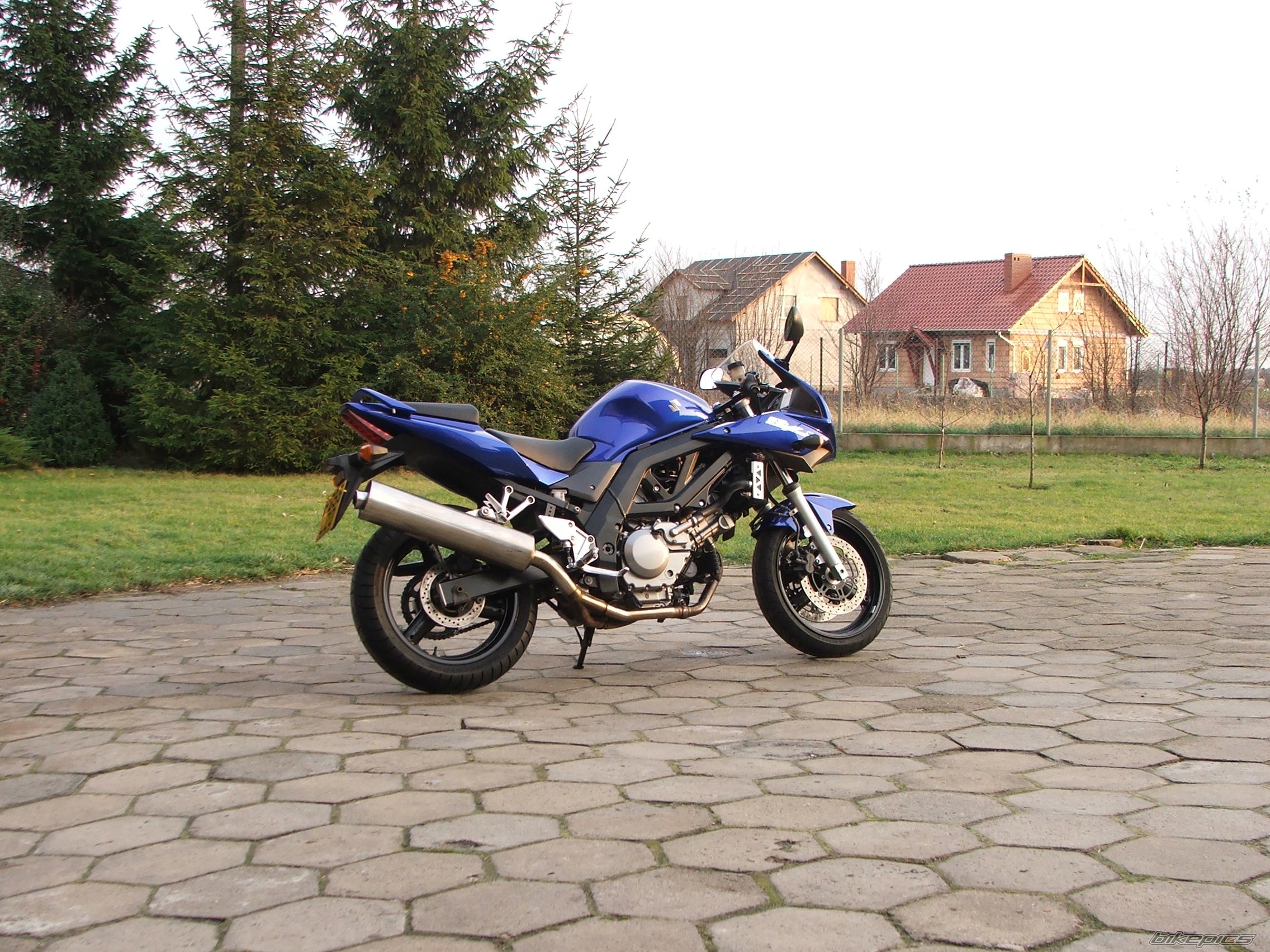 2005 SUZUKI SV 650S | Picture 1495623 motorcycle photo