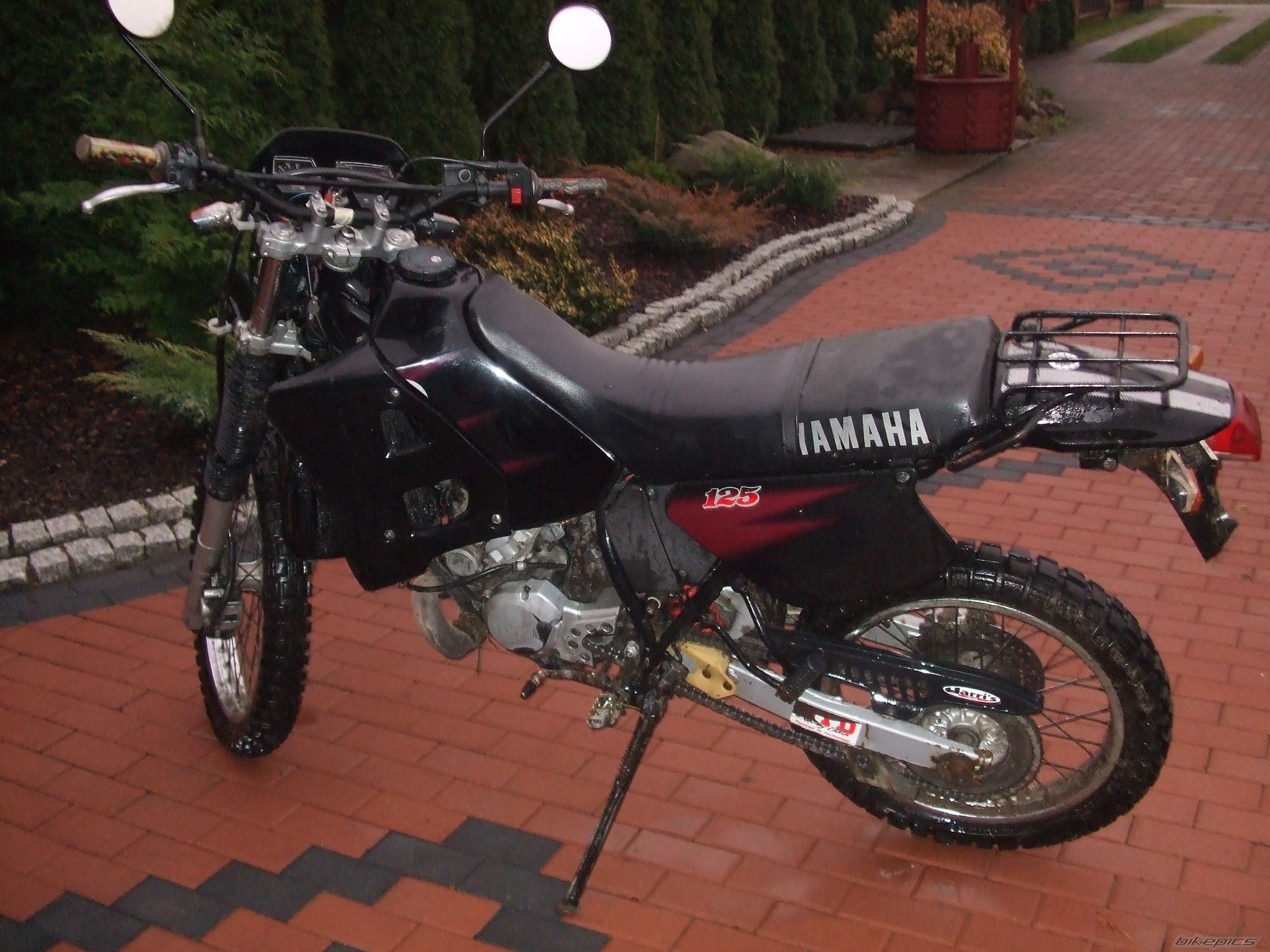 1997 YAMAHA DT 125 | Picture 1495634 motorcycle photo