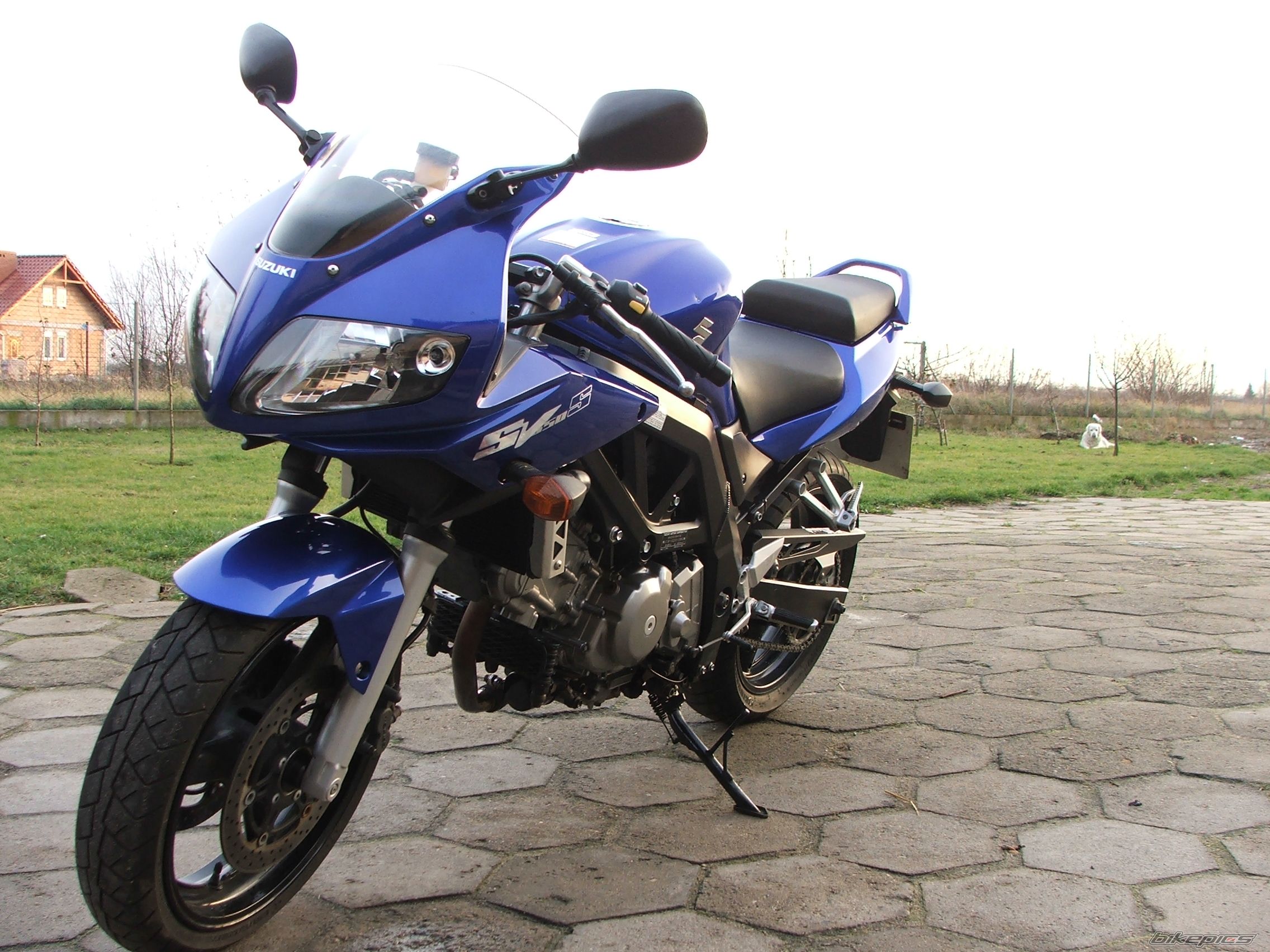 2005 SUZUKI SV 650S | Picture 1495654 motorcycle photo