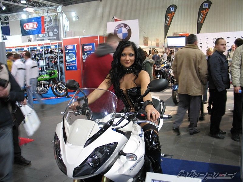 2008 TRIUMPH TIGER | Picture 1495721 motorcycle photo