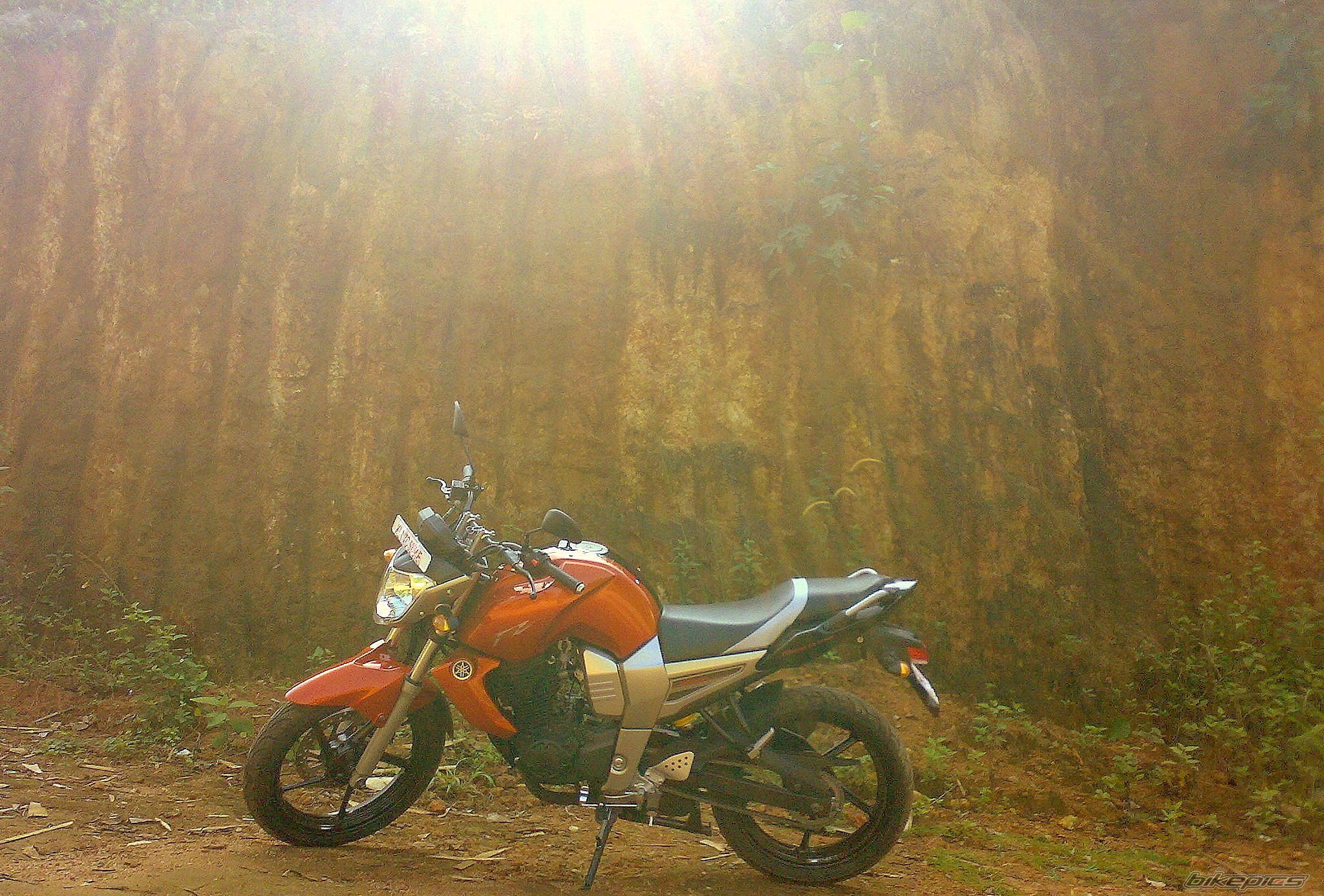 2008 YAMAHA FZ 150 | Picture 1496005 motorcycle photo