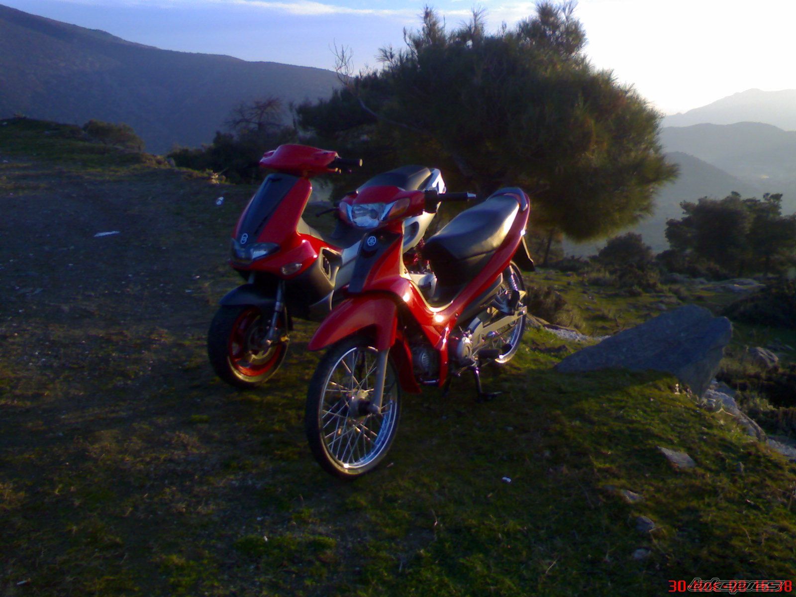 2009 YAMAHA CRYPTON R 115 | Picture 1496566 motorcycle photo