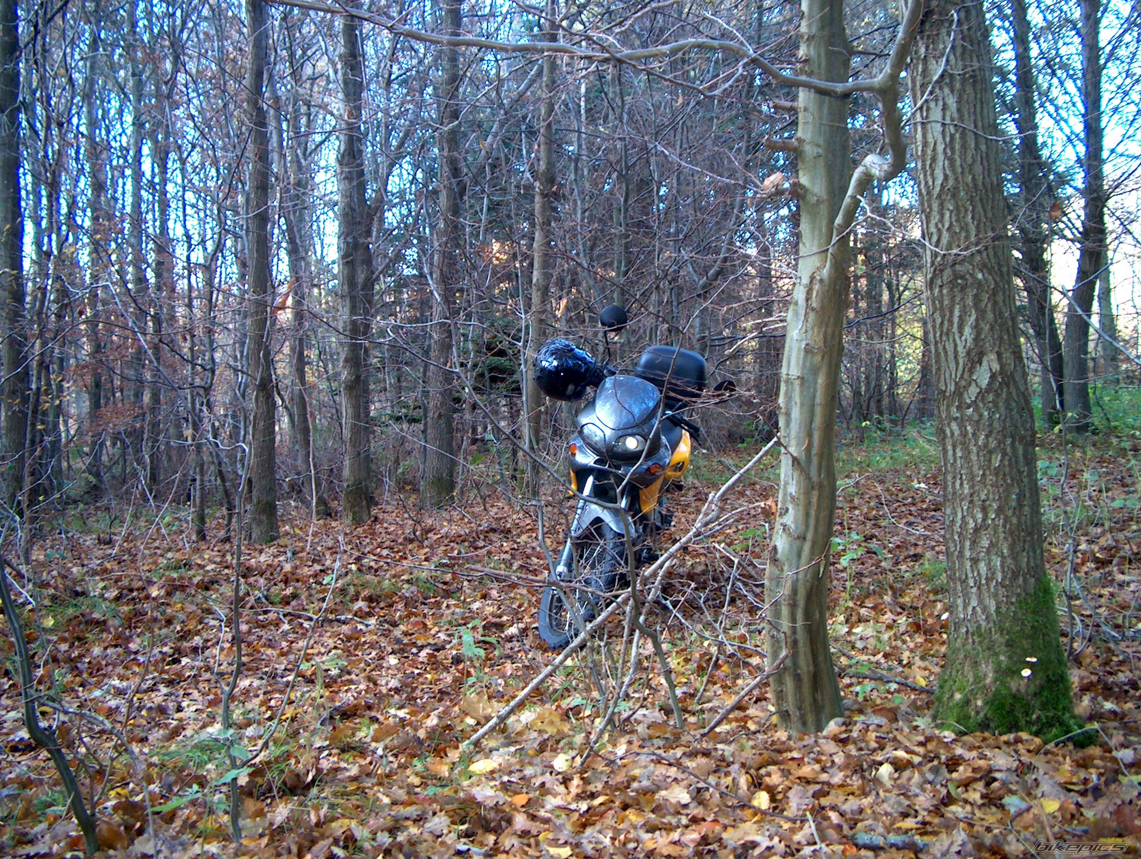 2000 CAGIVA CANYON 500 | Picture 1497263 motorcycle photo