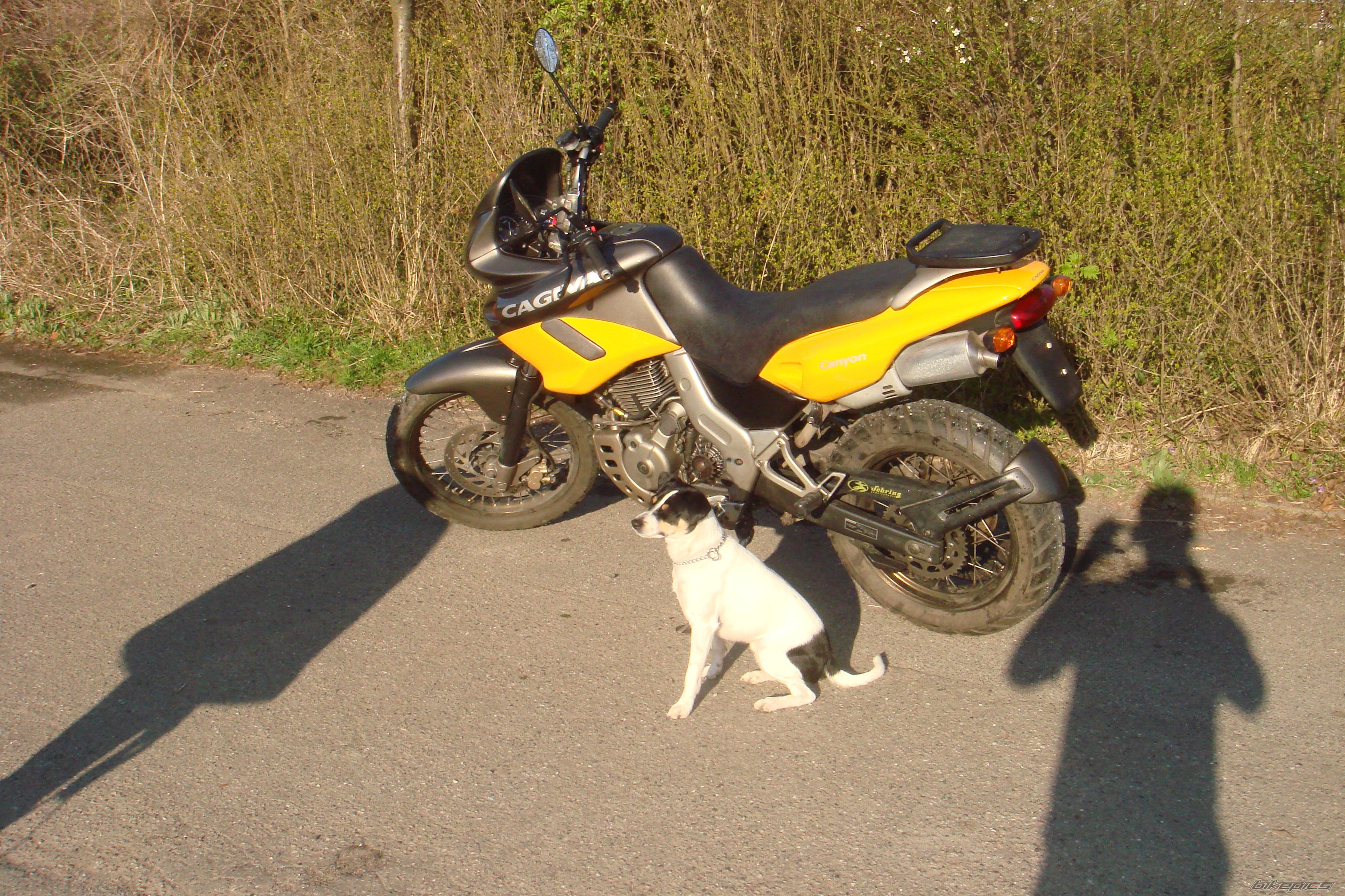 2000 CAGIVA CANYON 500 | Picture 1497268 motorcycle photo