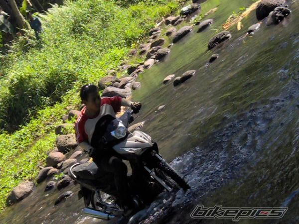 2008 HONDA XRM 110 | Picture 1497442 motorcycle photo