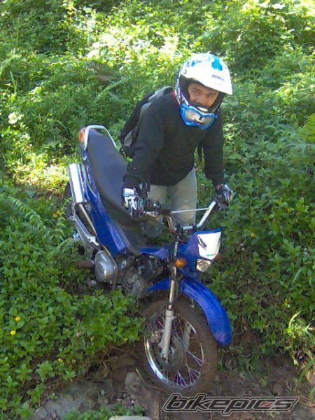 2008 HONDA XRM 110 | Picture 1497444 motorcycle photo