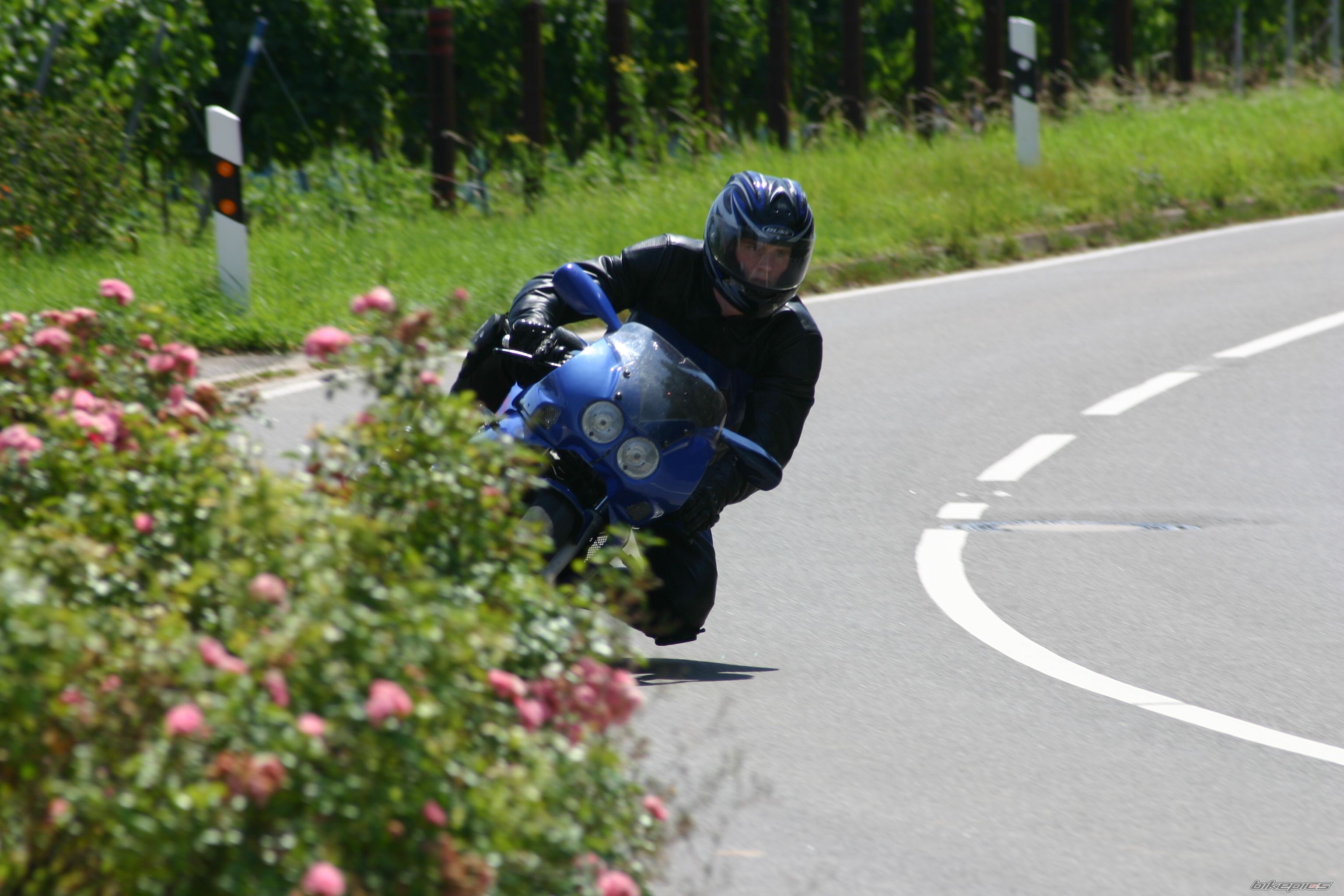 2000 SACHS XTC RACING | Picture 1497868 motorcycle photo