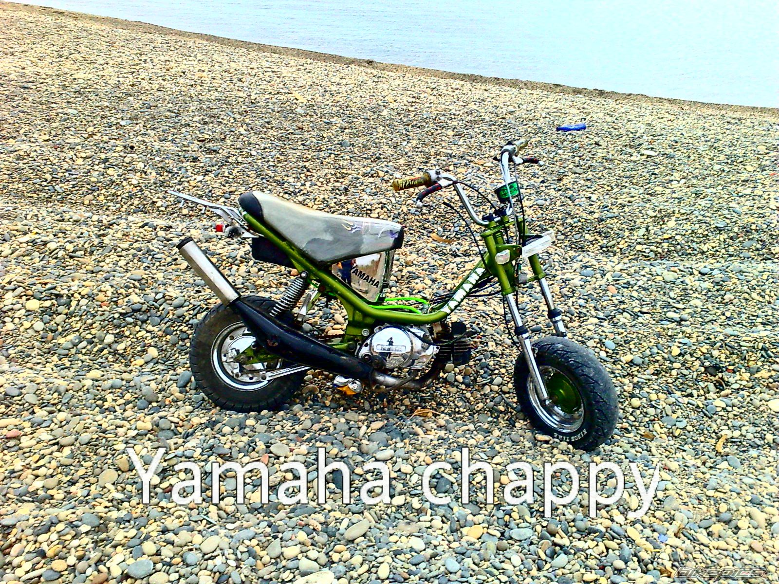 2009 YAMAHA CHAPY | Picture 1497989 motorcycle photo