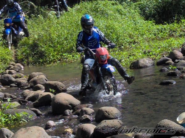 2008 HONDA XRM 110 | Picture 1498163 motorcycle photo