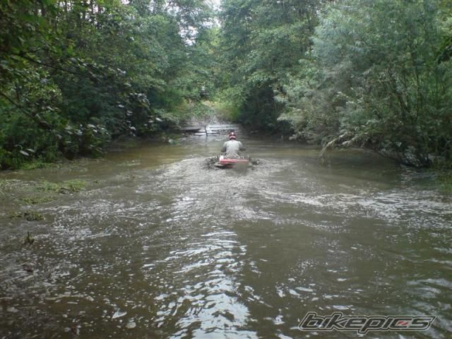 2008 SUZUKI KING QUAD | Picture 1498377 motorcycle photo