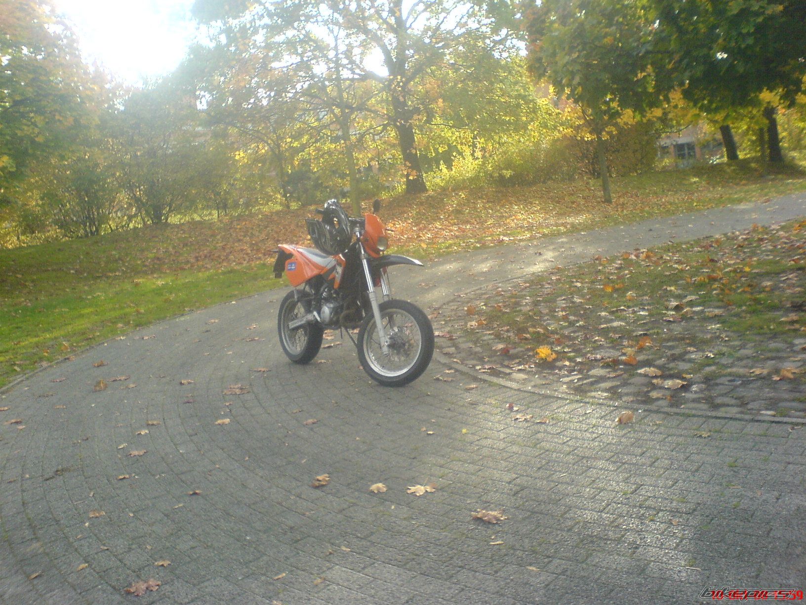 2004 BETA RR 50 | Picture 1498390 motorcycle photo