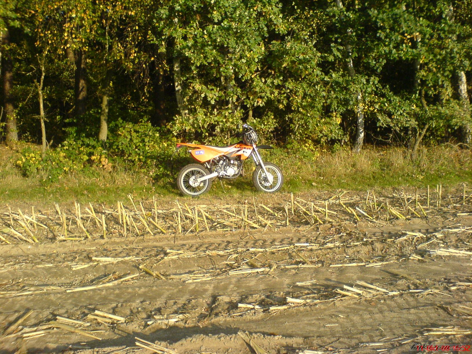 2004 BETA RR 50 | Picture 1498393 motorcycle photo
