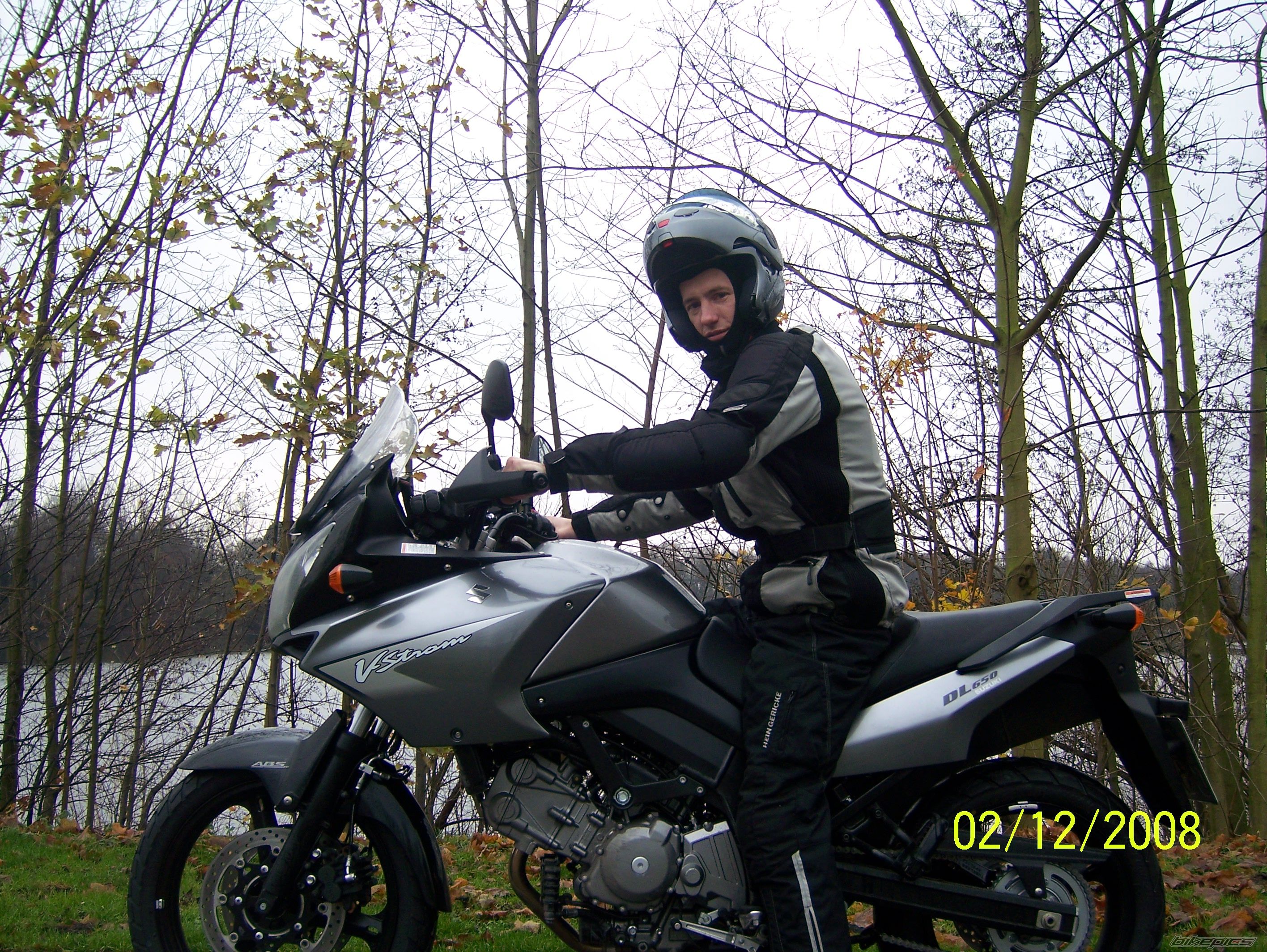 2008 SUZUKI DL 650 | Picture 1498525 motorcycle photo