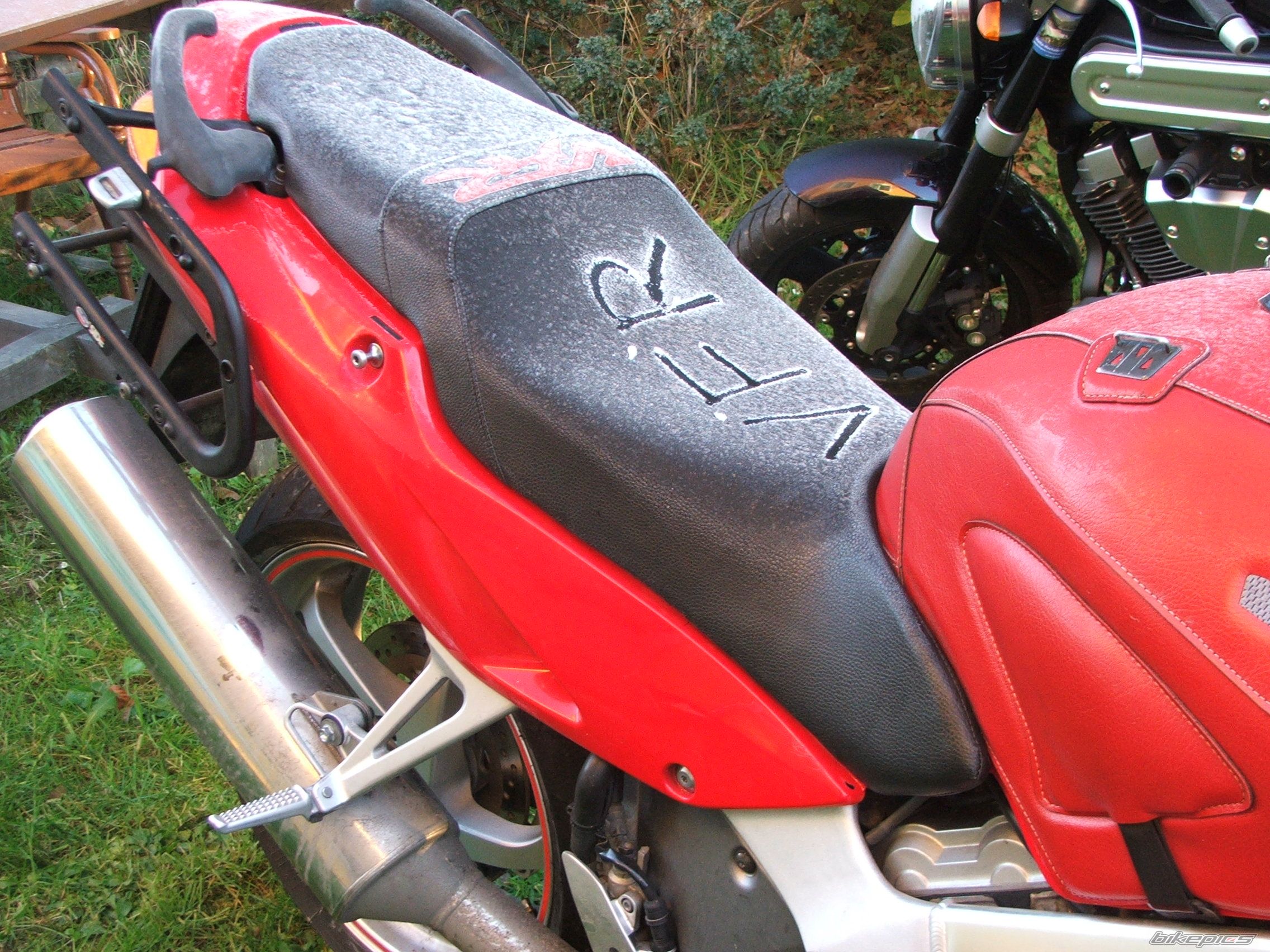 1999 HONDA VFR 800 | Picture 1498937 motorcycle photo