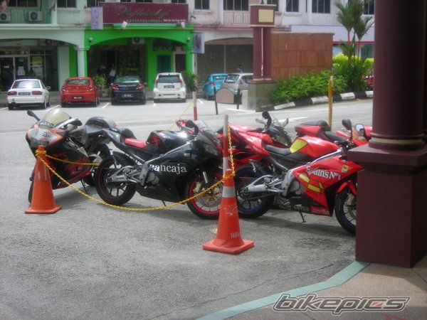 2009 APRILIA RS 125 | Picture 1499305 motorcycle photo