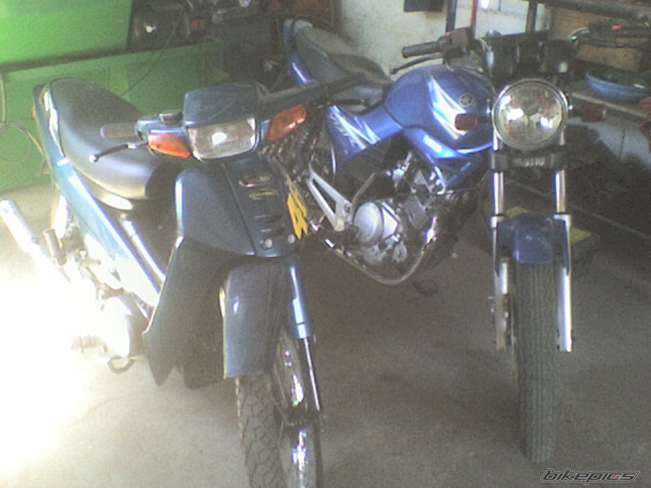 1999 YAMAHA CRYPTON R 105 | Picture 1499753 motorcycle photo