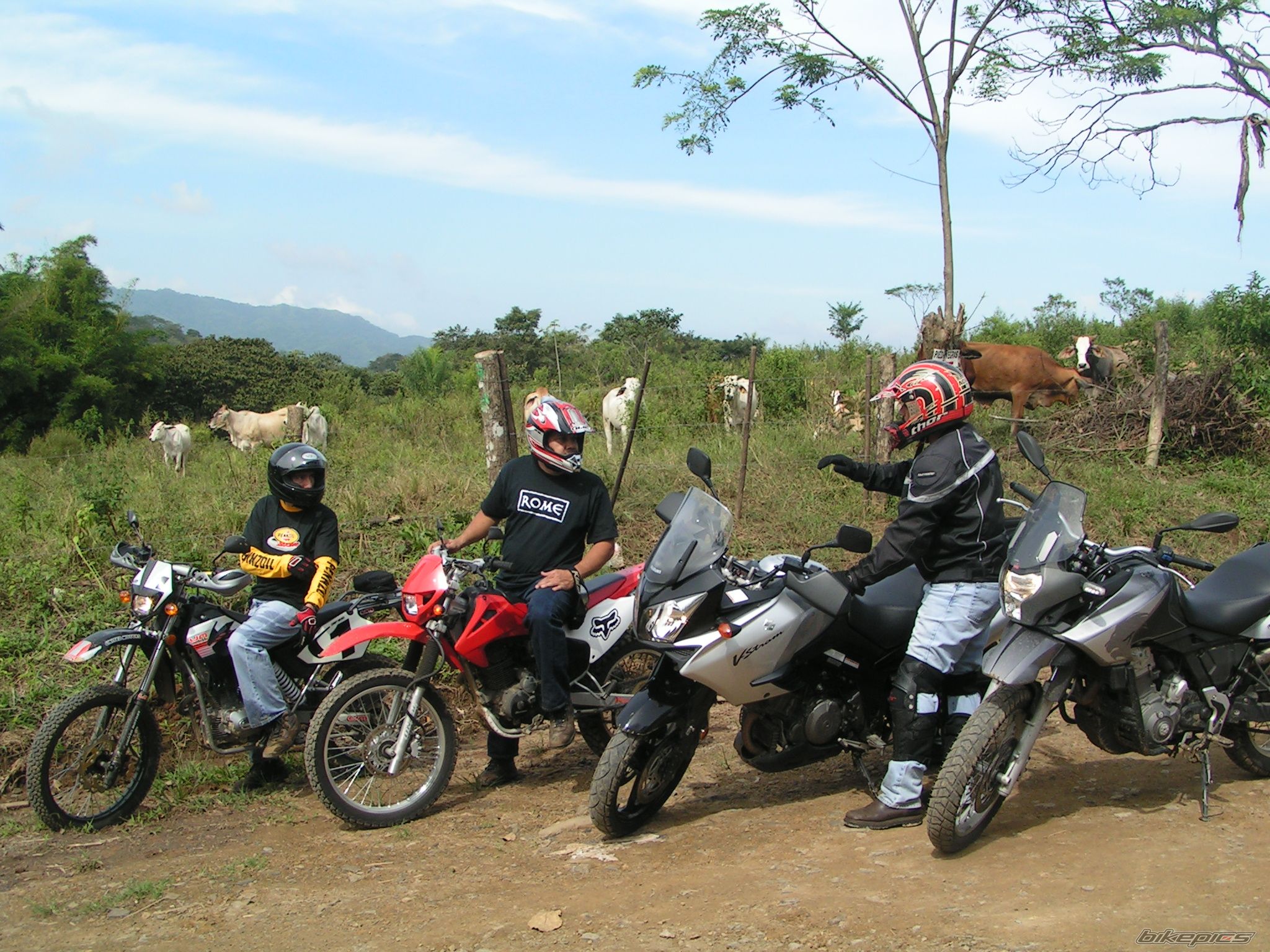 2007 APRILIA PEGASO 650 IE | Picture 1500050 motorcycle photo