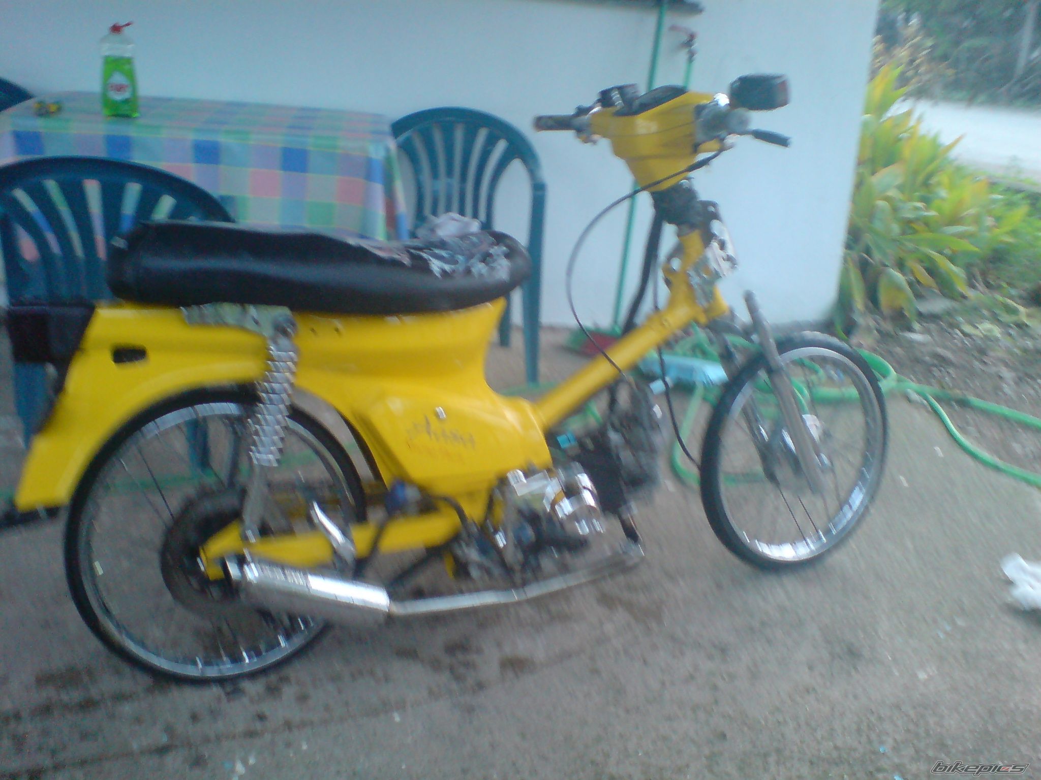 2009 HONDA GLX 50 | Picture 1500468 motorcycle photo