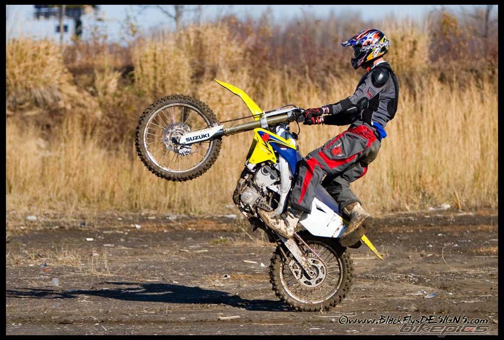 2008 SUZUKI RM 450Z | Picture 1500602 motorcycle photo