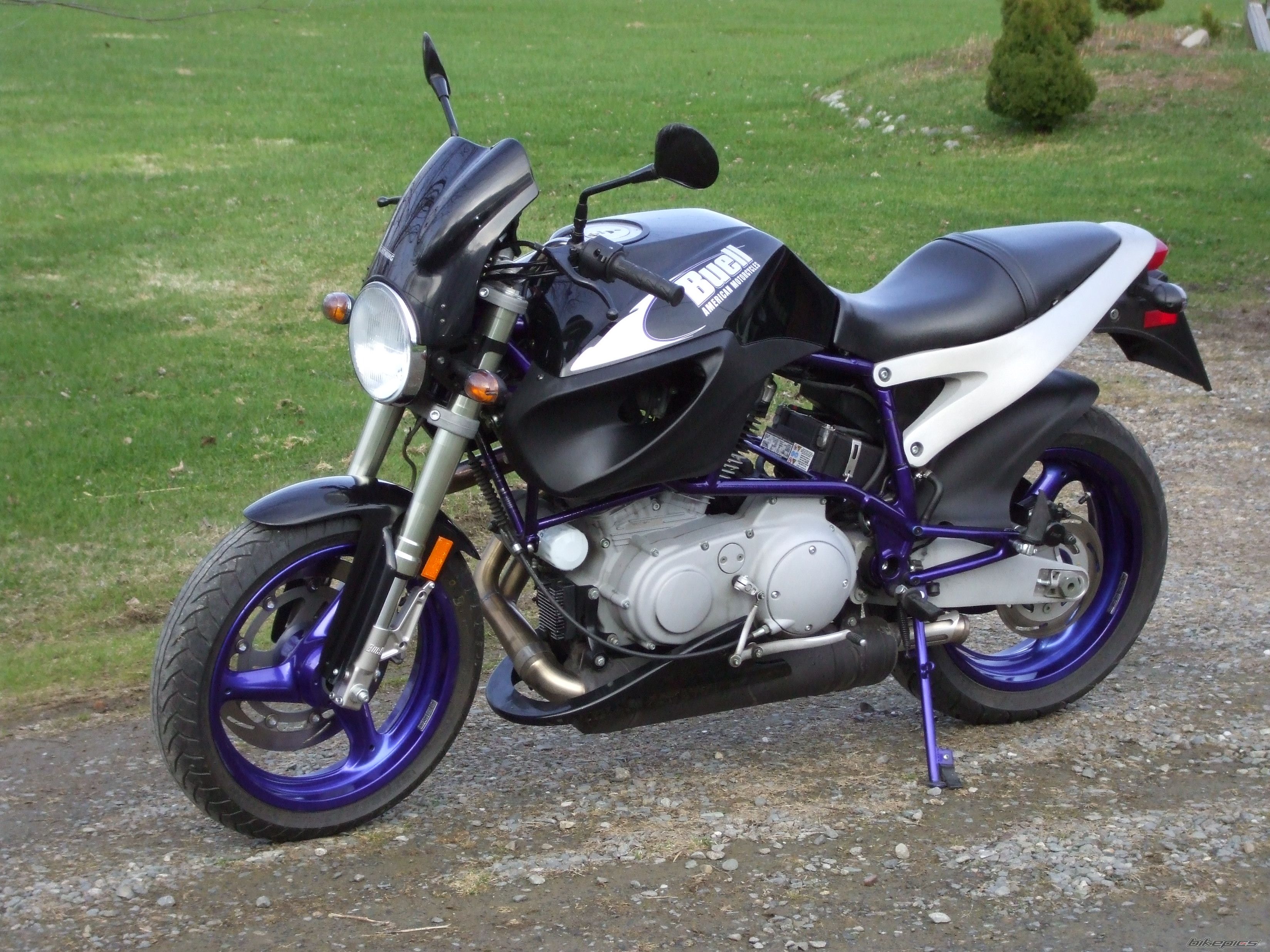 2002 BUELL X1 | Picture 1501114 motorcycle photo