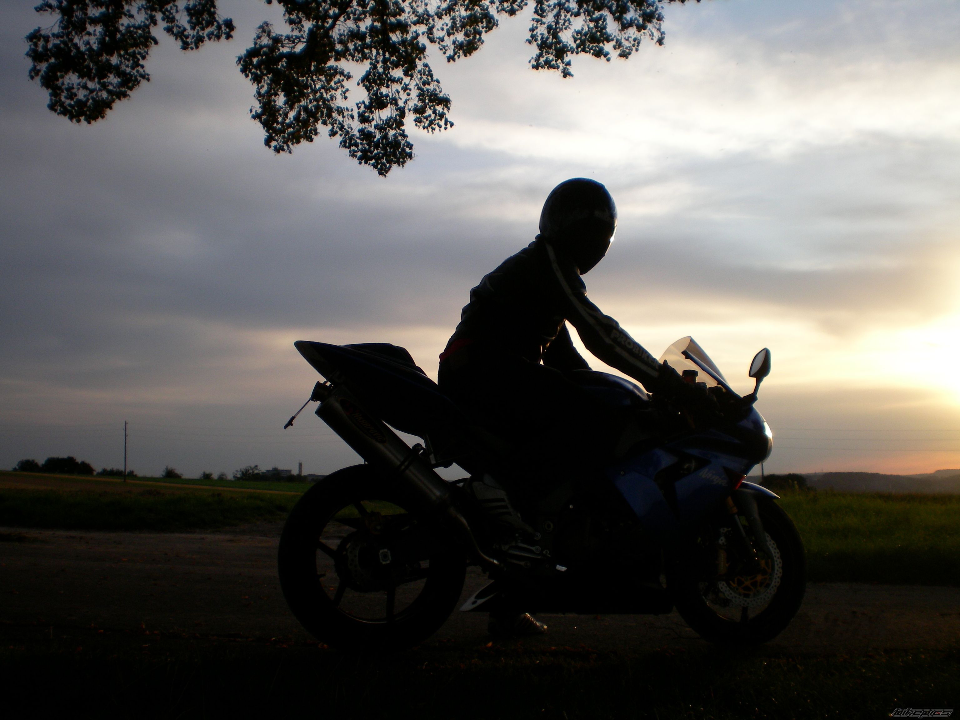 2004 KAWASAKI ZX 10R | Picture 1502022 motorcycle photo