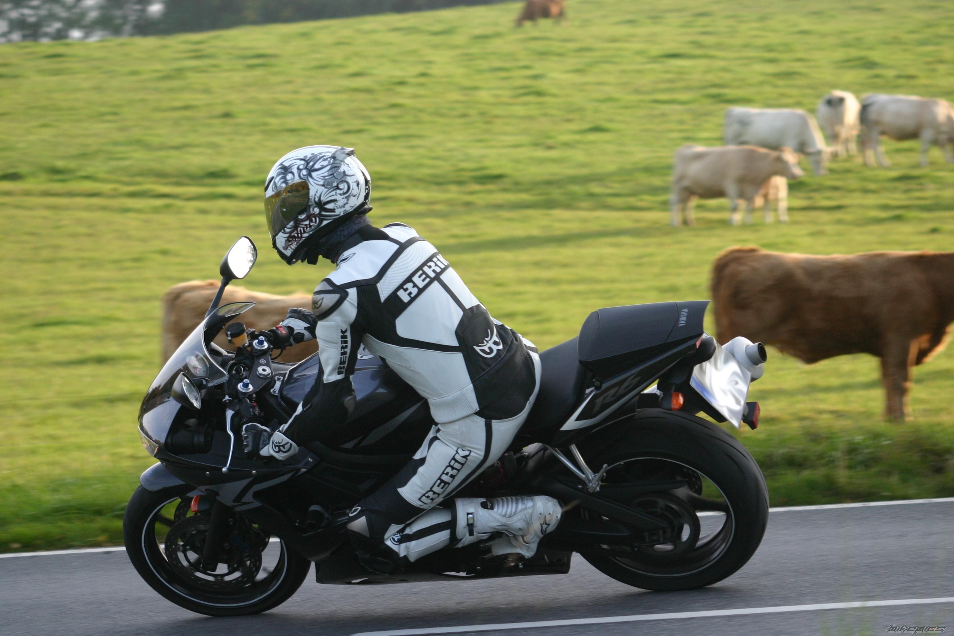2004 YAMAHA YZF R6 | Picture 1502501 motorcycle photo