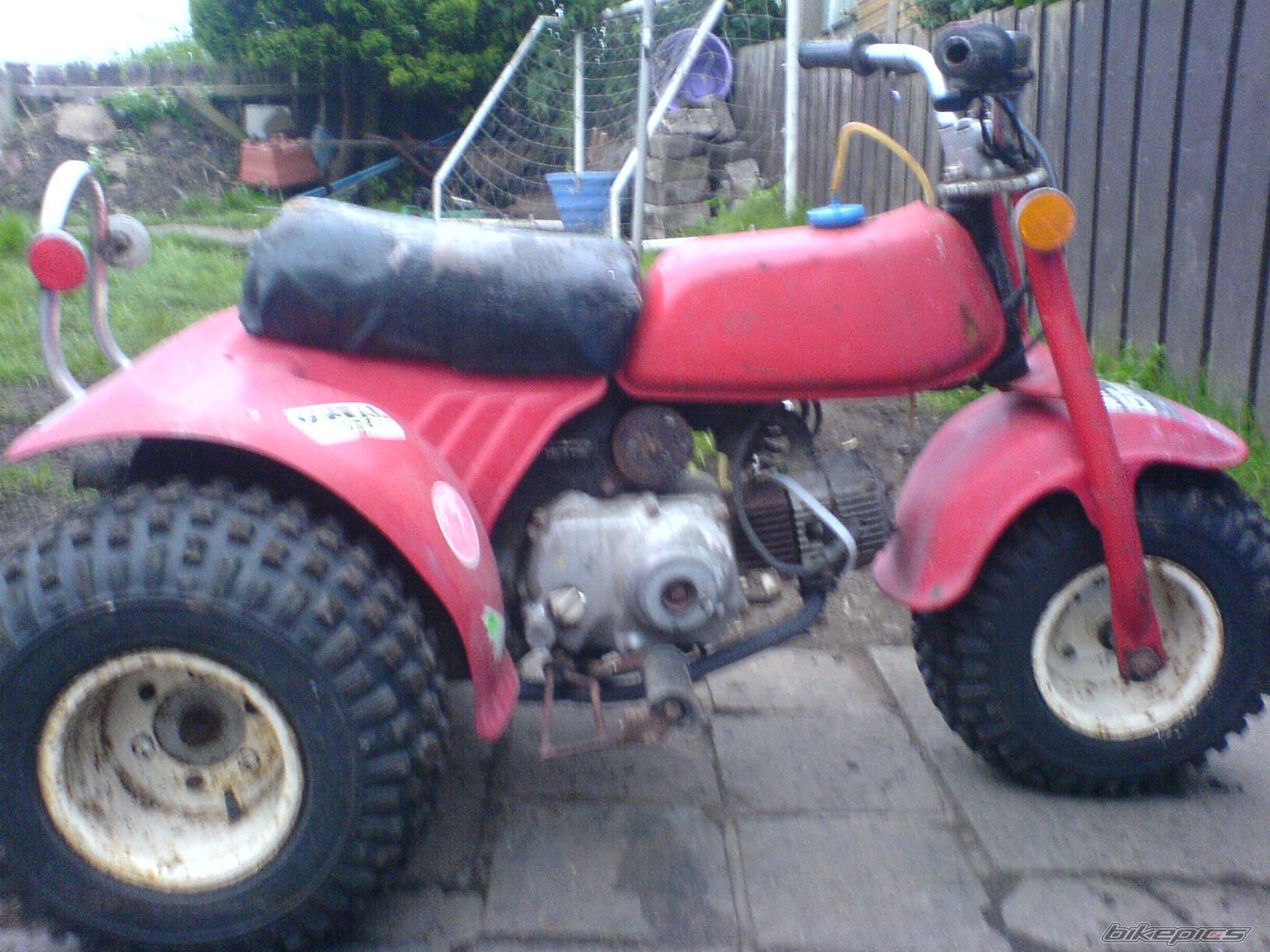 1983 HONDA ATC 70 | Picture 1502801 motorcycle photo