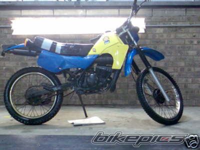 1984 SUZUKI TS 50 | Picture 1502916 motorcycle photo