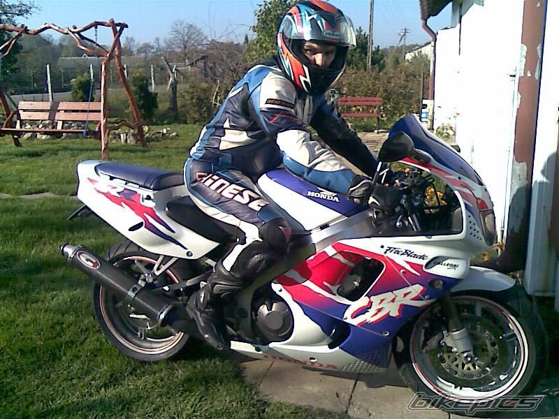 1994 HONDA CBR 900 | Picture 1503133 motorcycle photo
