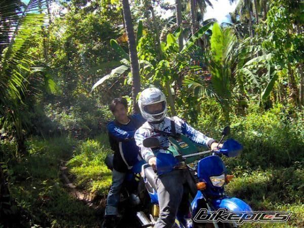    | Picture 1503312 motorcycle photo