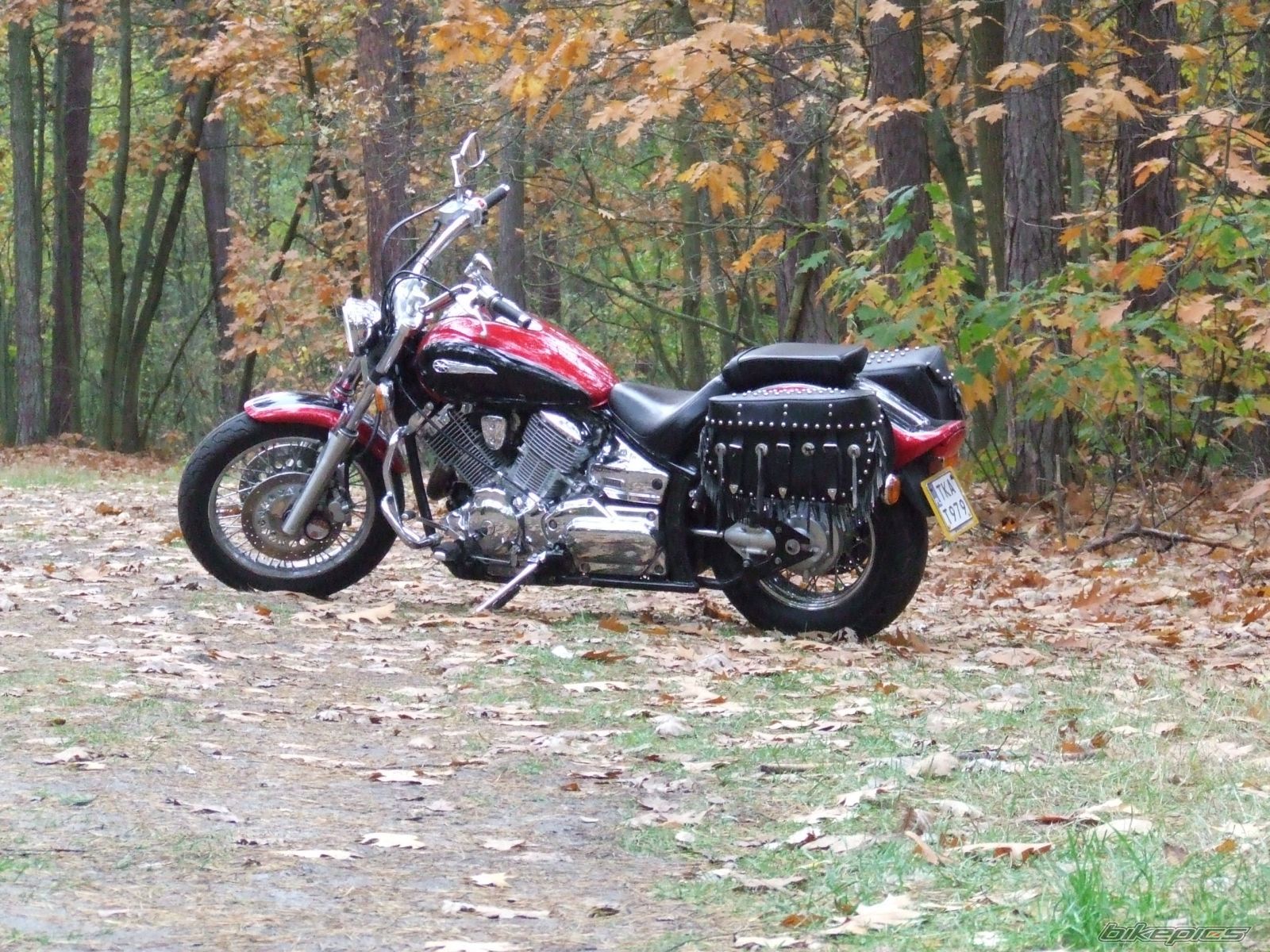 2001 YAMAHA XVS 1100 | Picture 1503544 motorcycle photo