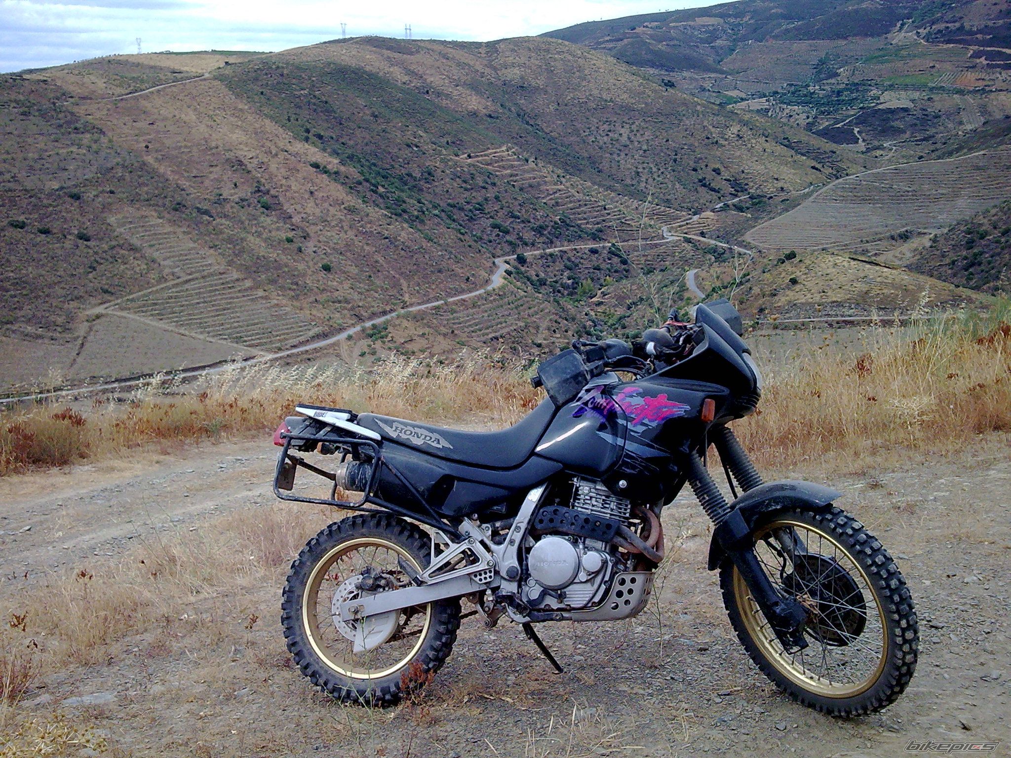 1994 HONDA NX 650 DOMINATOR | Picture 1504002 motorcycle photo