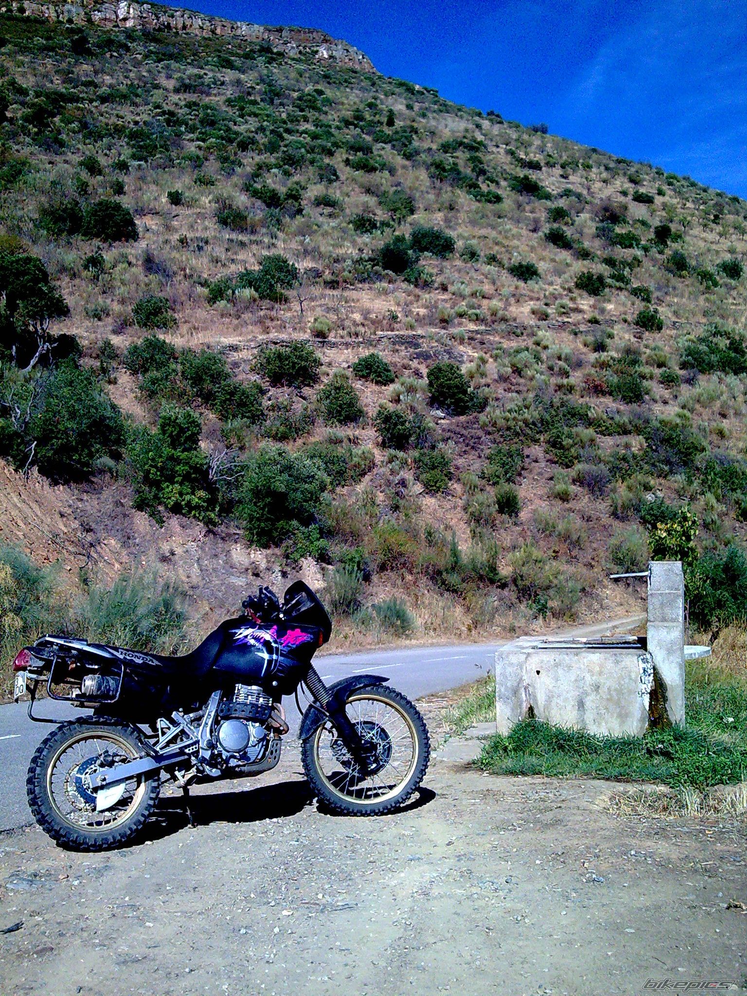 1994 HONDA NX 650 DOMINATOR | Picture 1504005 motorcycle photo