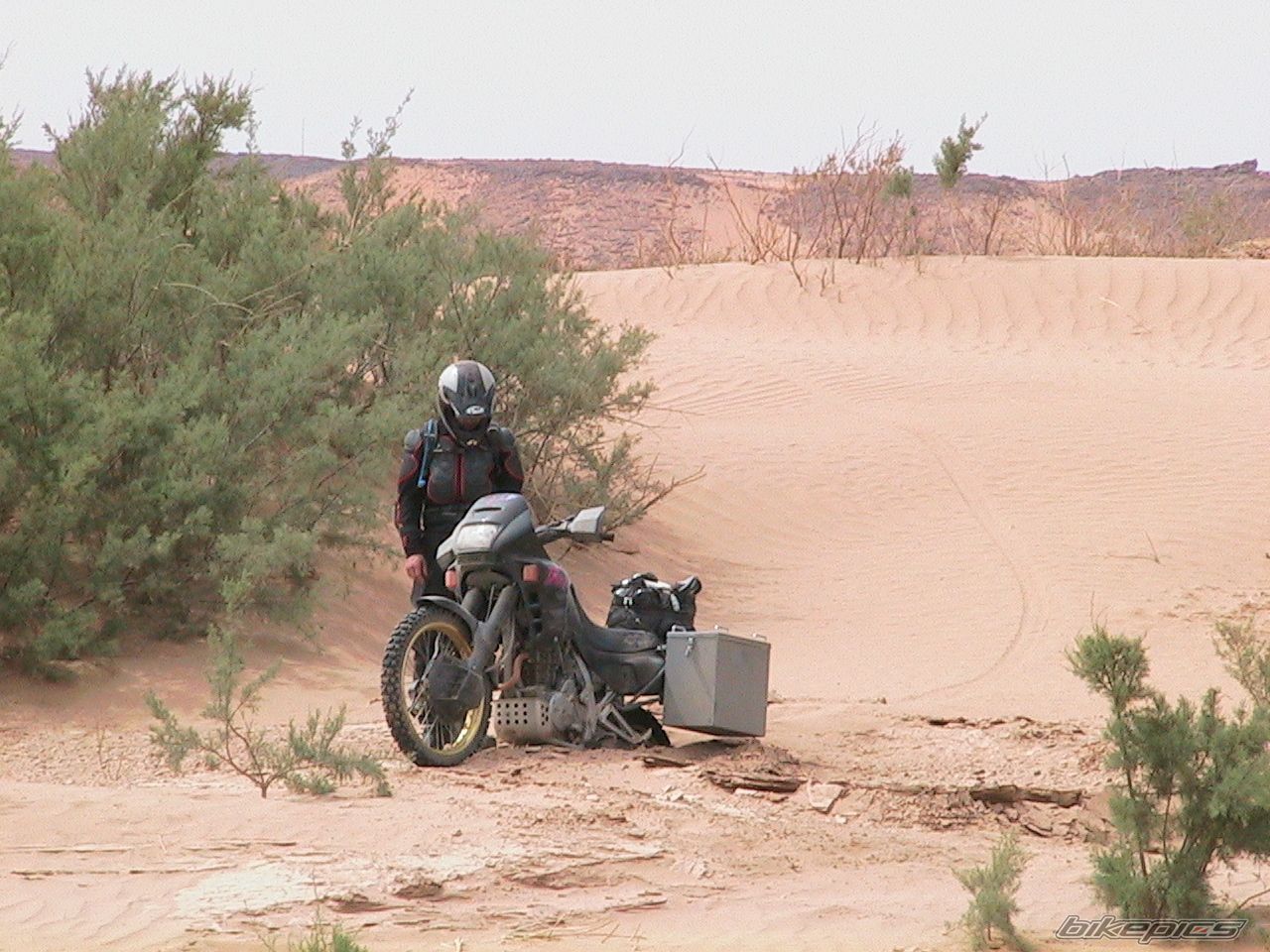 1994 HONDA NX 650 DOMINATOR | Picture 1504007 motorcycle photo