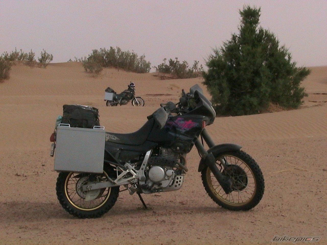 1994 HONDA NX 650 DOMINATOR | Picture 1504009 motorcycle photo