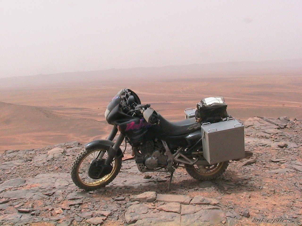 1994 HONDA NX 650 DOMINATOR | Picture 1504013 motorcycle photo