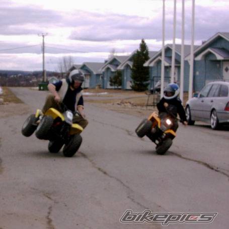 2003 SUZUKI Q. SPORT 80 | Picture 150413 motorcycle photo