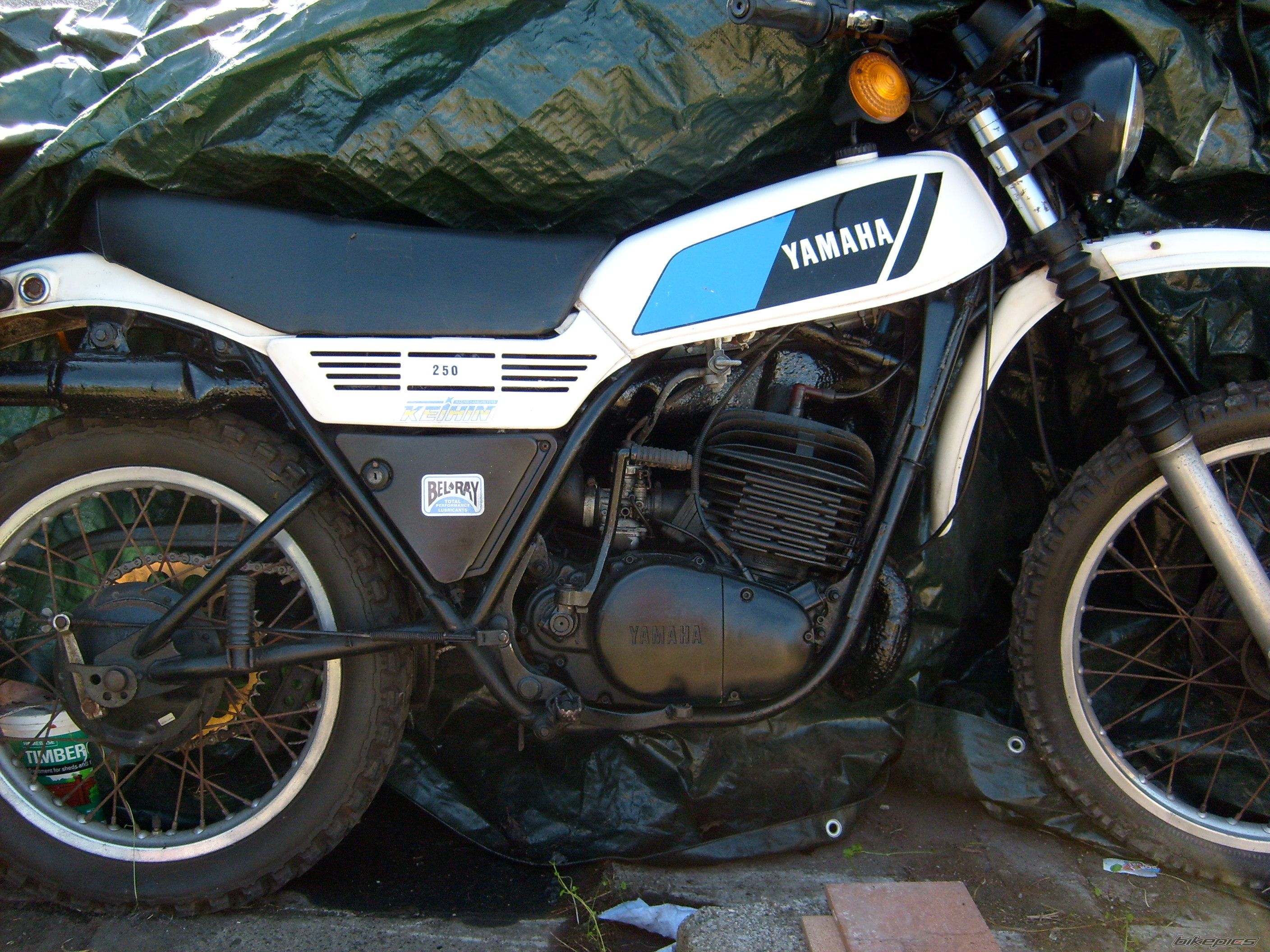 1978 YAMAHA DT 250 | Picture 1504248 motorcycle photo