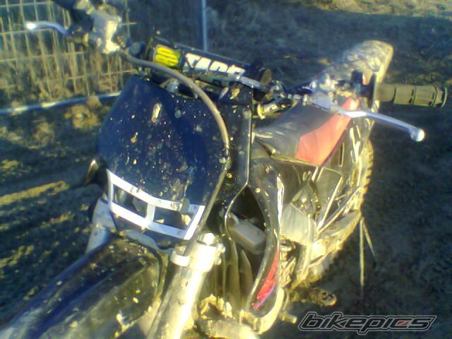 2001 HONDA CR 250 | Picture 1504630 motorcycle photo