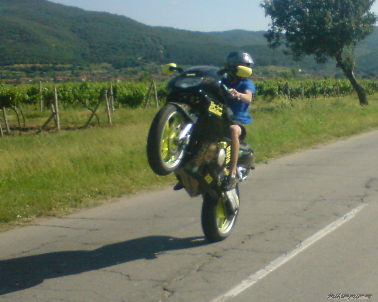 1994 HONDA CBR 600 | Picture 1504733 motorcycle photo