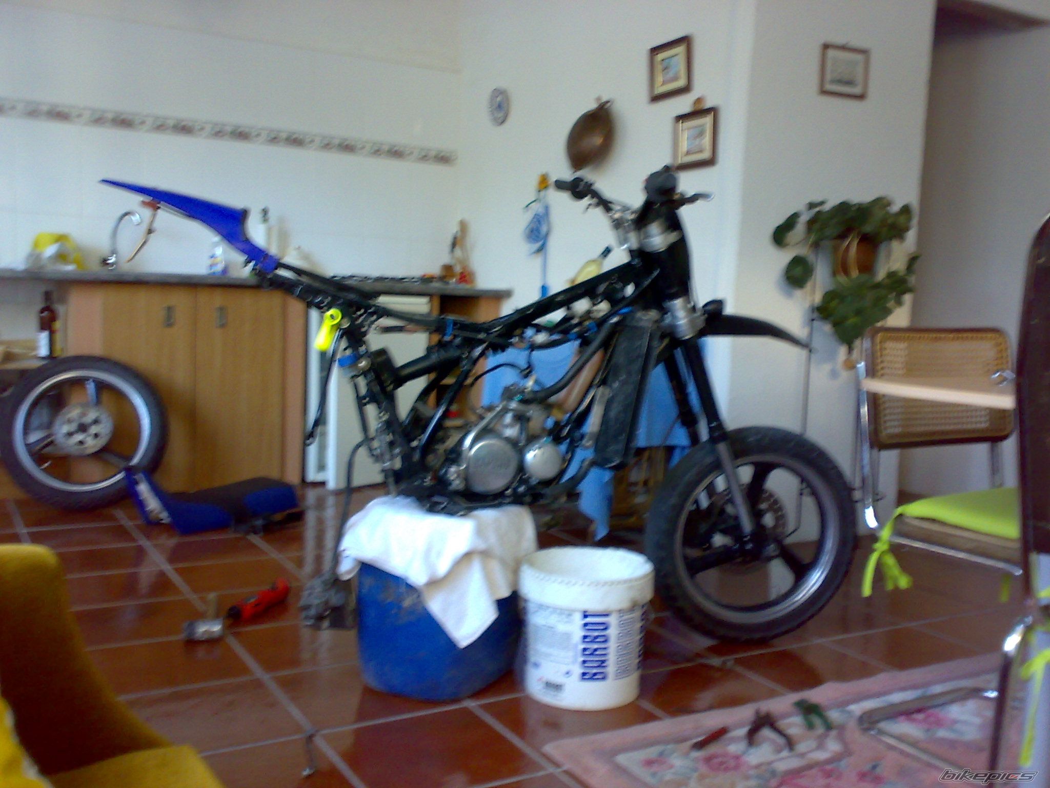    | Picture 1504837 motorcycle photo