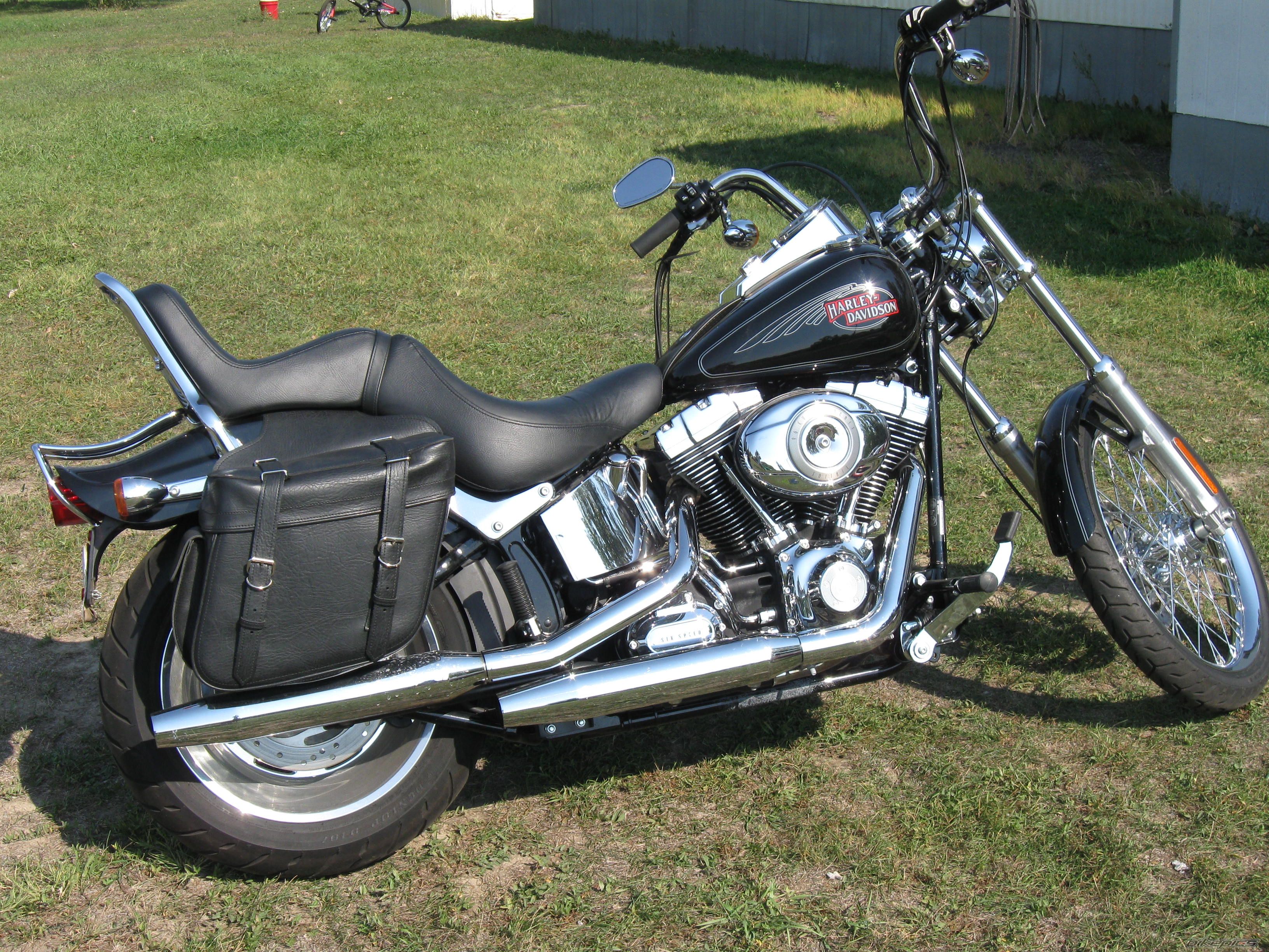 2008 HARLEY DAVIDSON FXSTC | Picture 1504924 motorcycle photo
