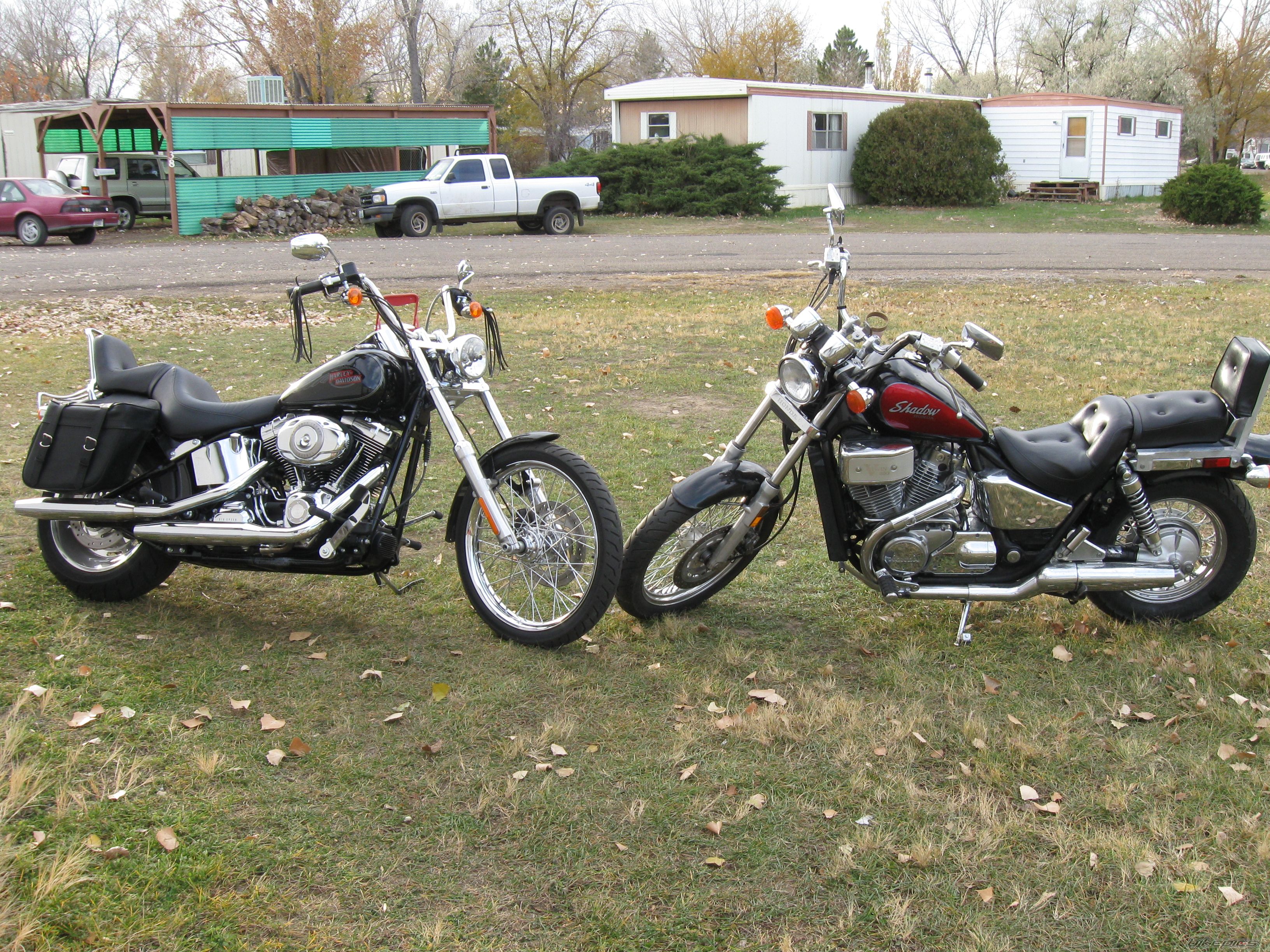 2008 HARLEY DAVIDSON FXSTC | Picture 1504928 motorcycle photo