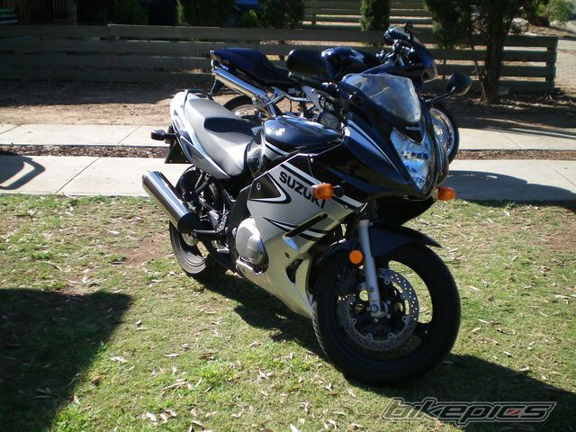2006 SUZUKI GS 500 | Picture 1505647 motorcycle photo