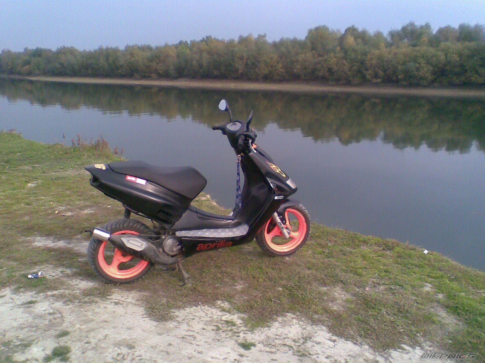 1998 APRILIA SR 50 | Picture 1506036 motorcycle photo