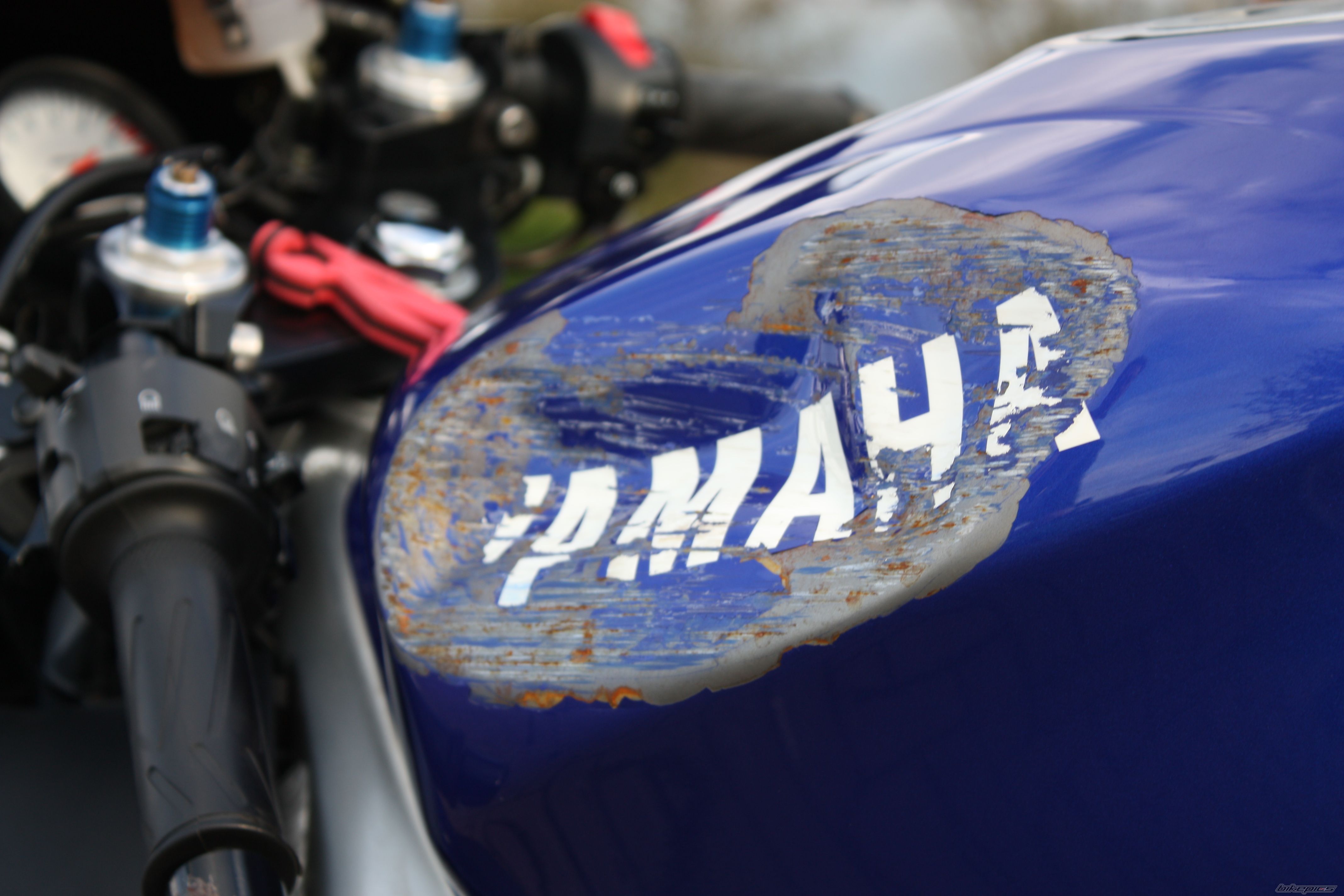 2000 YAMAHA YZF R6 | Picture 1506038 motorcycle photo