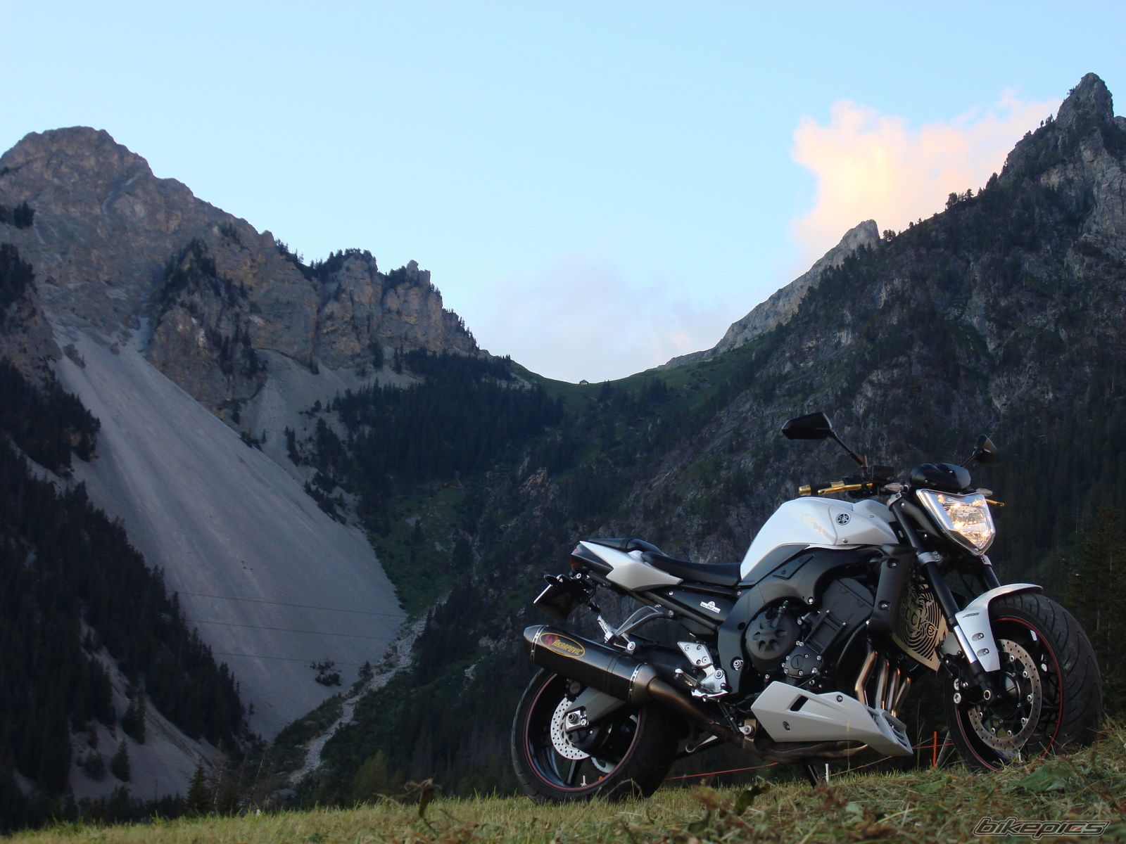 2008 YAMAHA FZ 1N | Picture 1506197 motorcycle photo