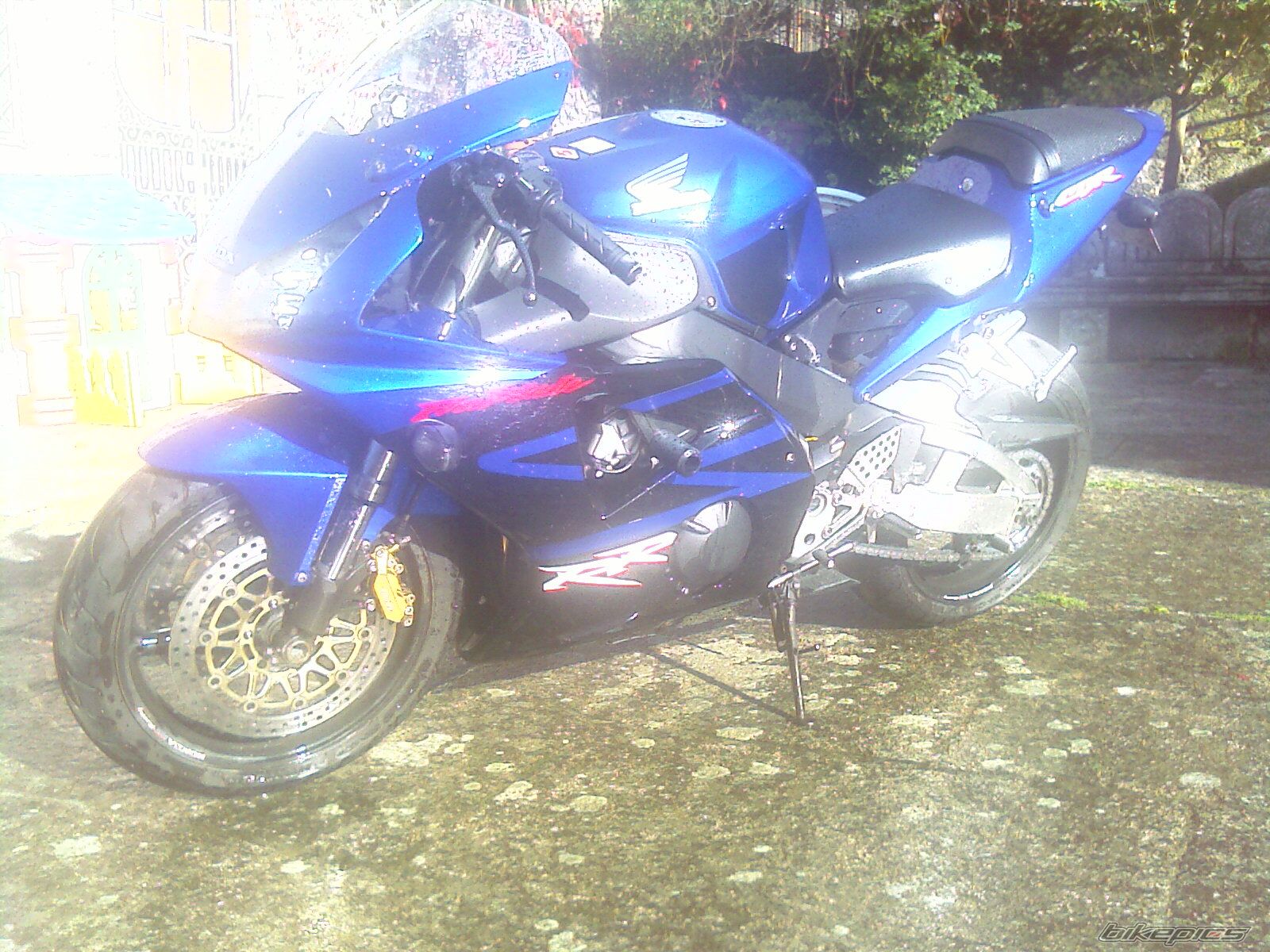 2004 HONDA CBR 900 | Picture 1506248 motorcycle photo