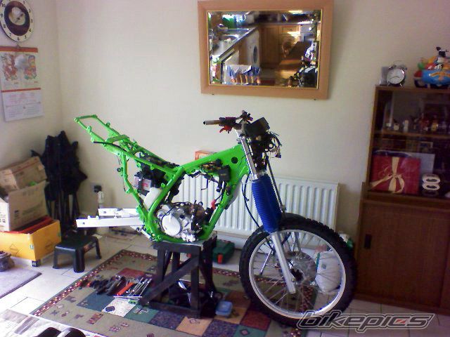 2009 KAWASAKI KMX 125 | Picture 1506313 motorcycle photo