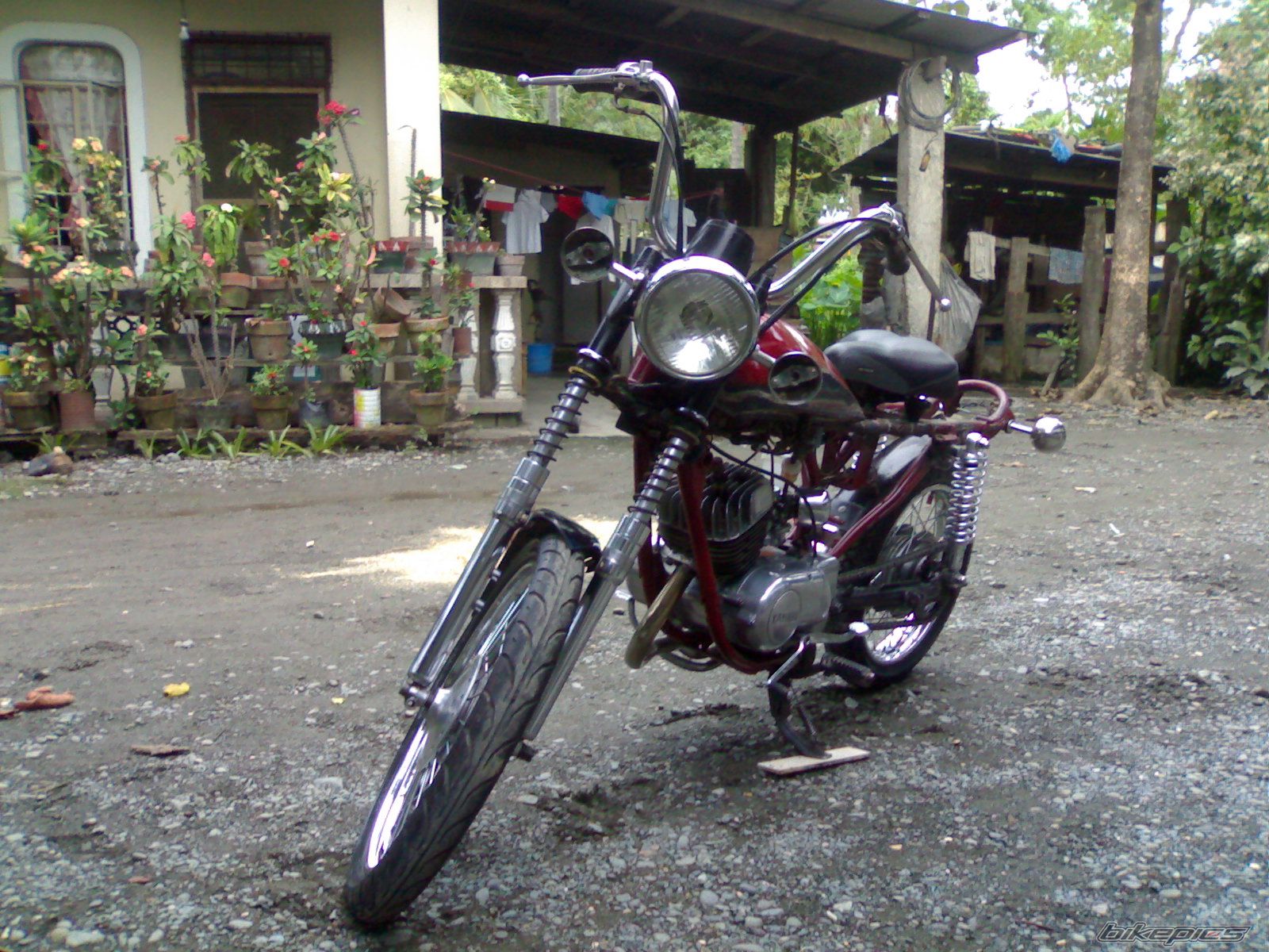1997 YAMAHA RS 100 | Picture 1506591 motorcycle photo